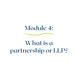 Module 4 – What is a partnership?